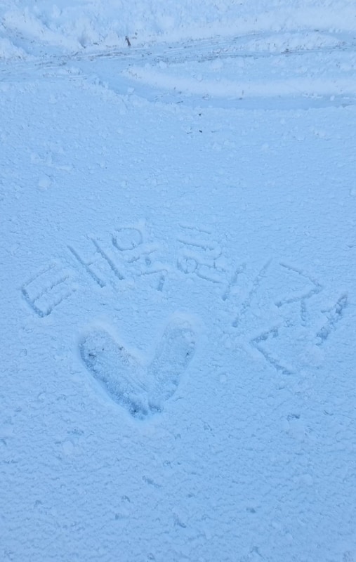 [충북 단양] 뷰맛집 캠핑장에서 폭설캠핑 먹방 후기❄️