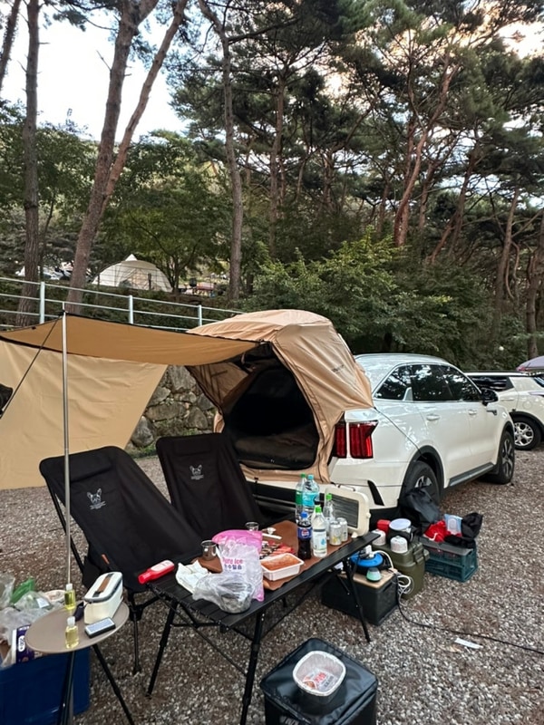 [구례 여행] 구례 섬지 캠핑장 차 박️