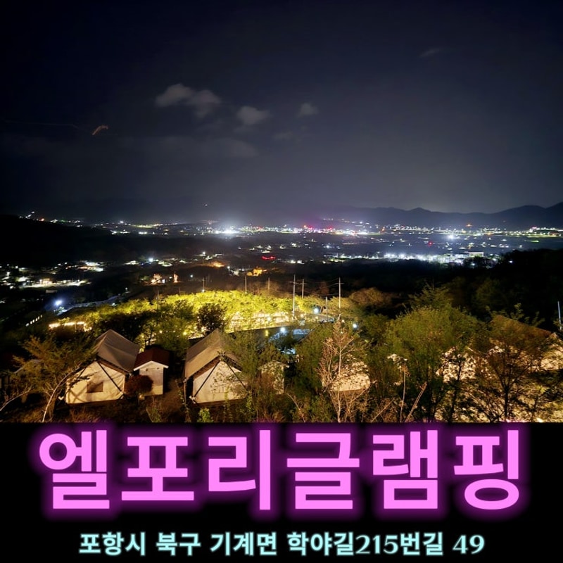 포항 가성비 숙소 오토캠핑장 엘포리글램핑 승마장 레일썰매...