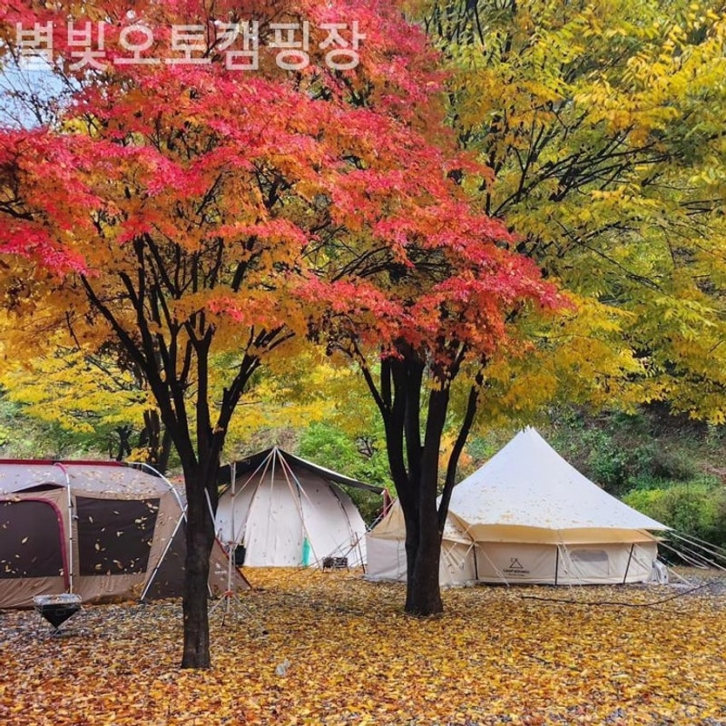 가평캠핑장 별빛오토캠핑장 가족캠핑추천