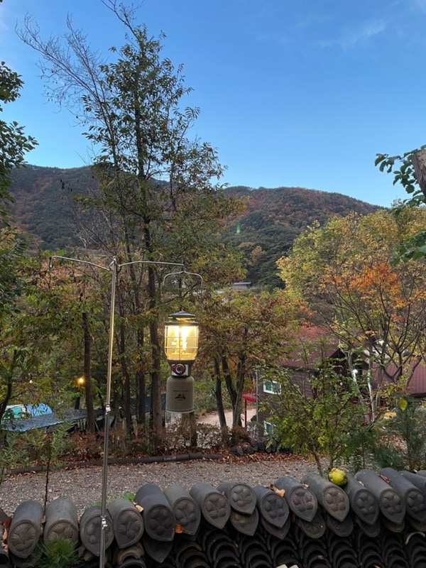 대구 근교 가을 단풍 캠핑장 아이와 가기 좋은 곳 영천 별무리