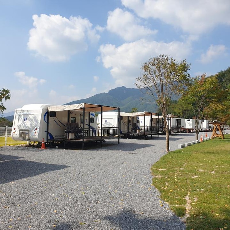 더존 관광농원 대표 사진