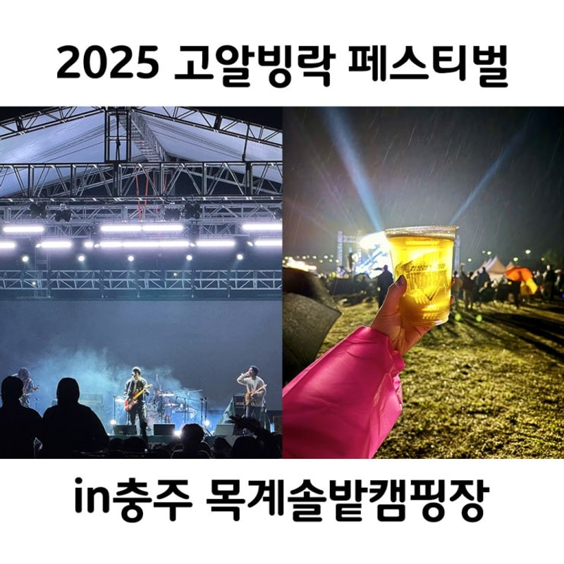2025 고알빙락 페스티벌in충주 목계솔밭캠핑장 2박 후기