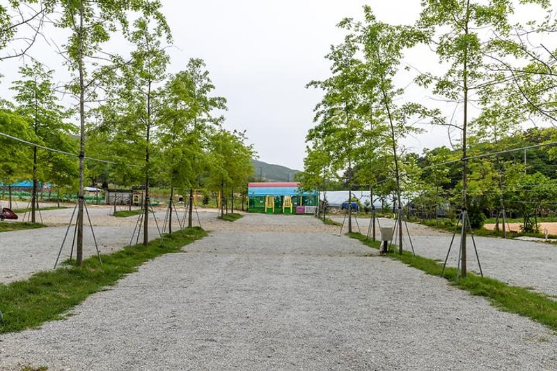 수덕 캠핑장 대표 사진