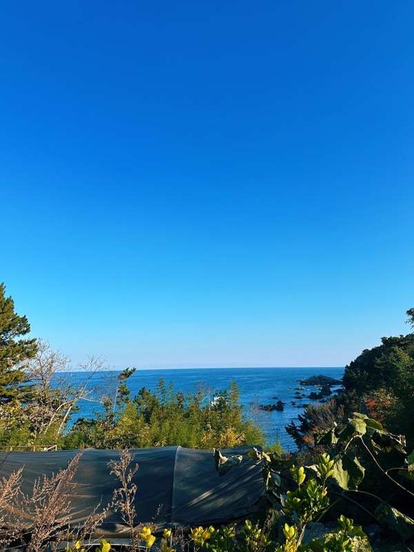 강원도 삼척, 조용한 바다 전망 캠프 오슬로 (N5 솔직후기)