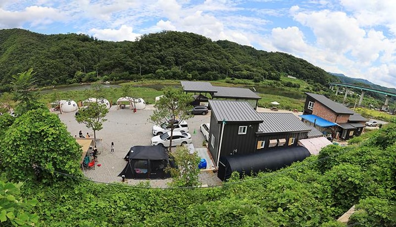 소노팜 대표 사진