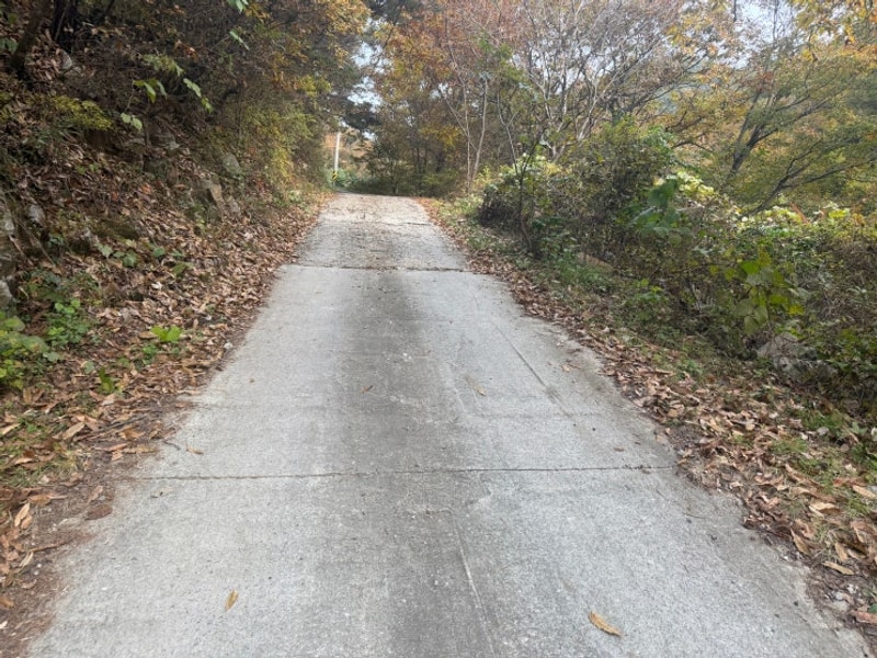 경북 고령 키즈 캠핑장 숲에안기다 캠핑 피자만들기 사격 체험...