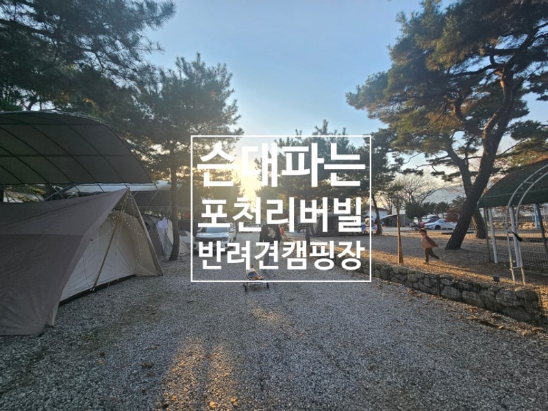 포천리버빌캠핑장 2박 3일 후기 - 반려견 + 아이와 함께