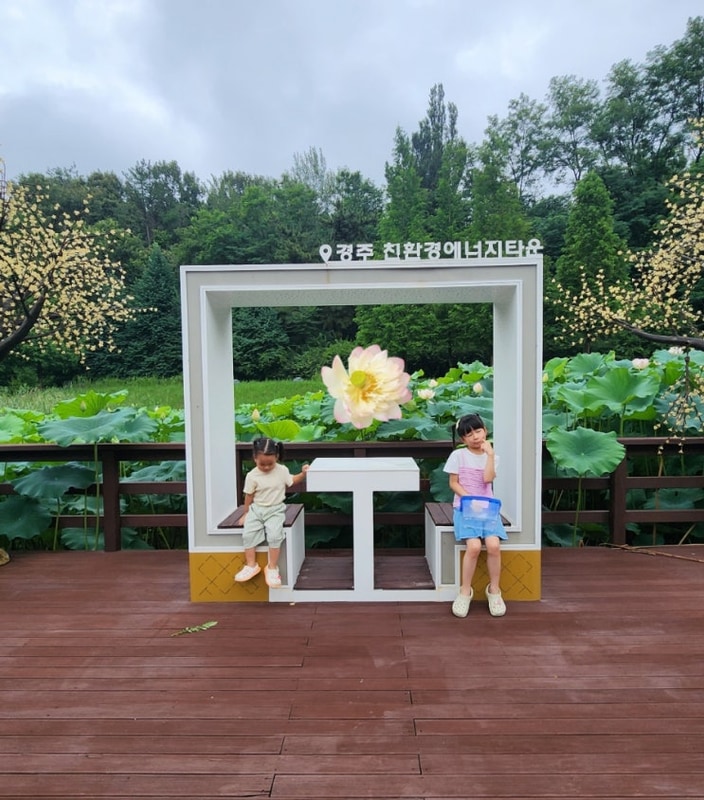 경주 보문 카라반 파크  연꽃이 예뻤던 글램핑 죽지랑 후기