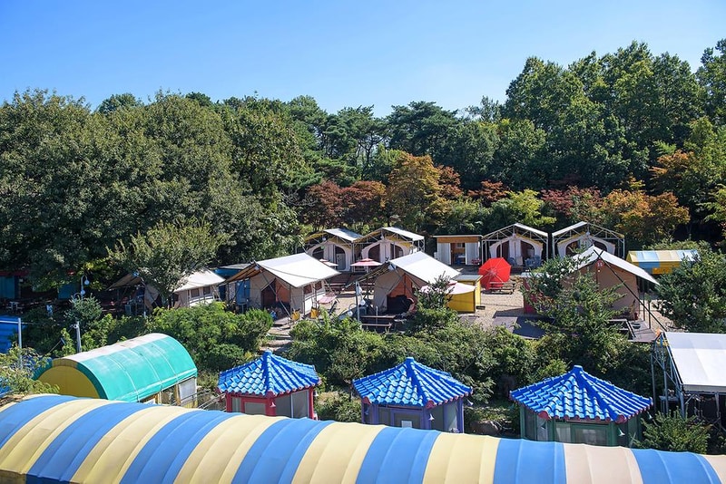 (주)디노담양힐링파크 지점 시설 사진 12