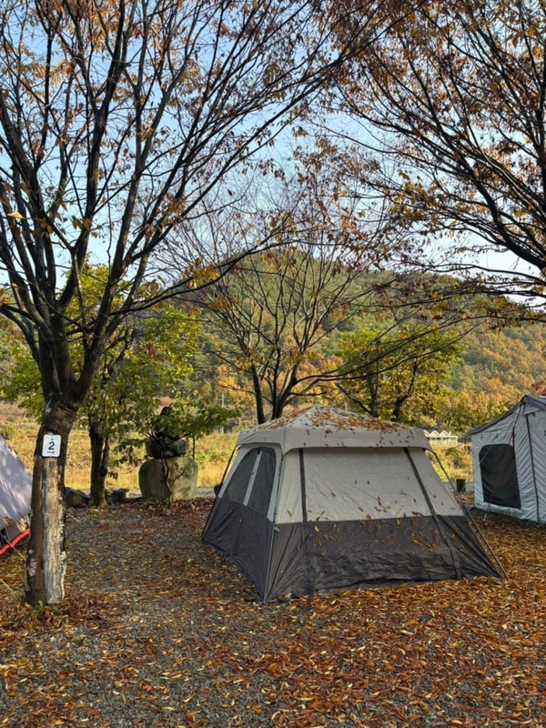 2. [성주] 성주자연오토캠핑장