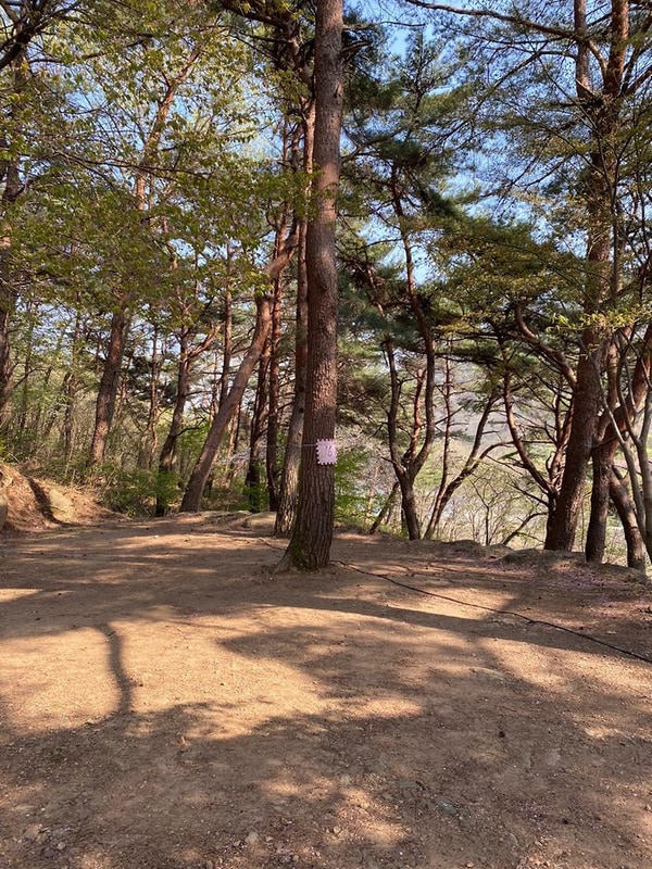 섬지캠핑장 시설 사진 10