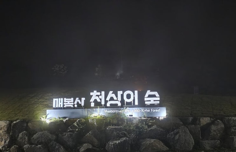 매봉산 천상의 숲  "2박3일"캠핑