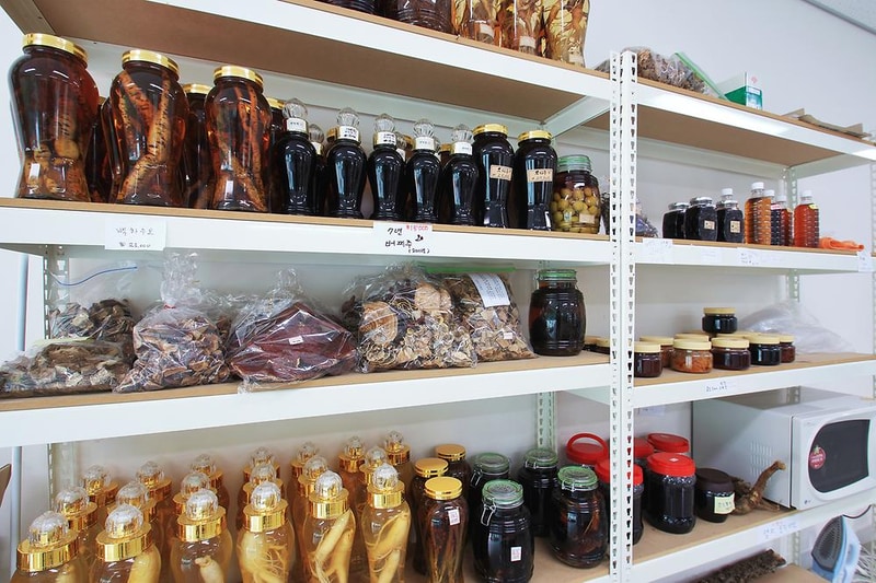 산꽃벚꽃마을 오토캠핑장 시설 사진 17