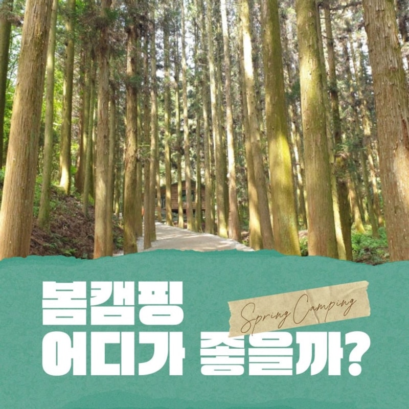 [캠핑장] 녹차의 수도 보성, 제암산 자연 휴양림 야영장