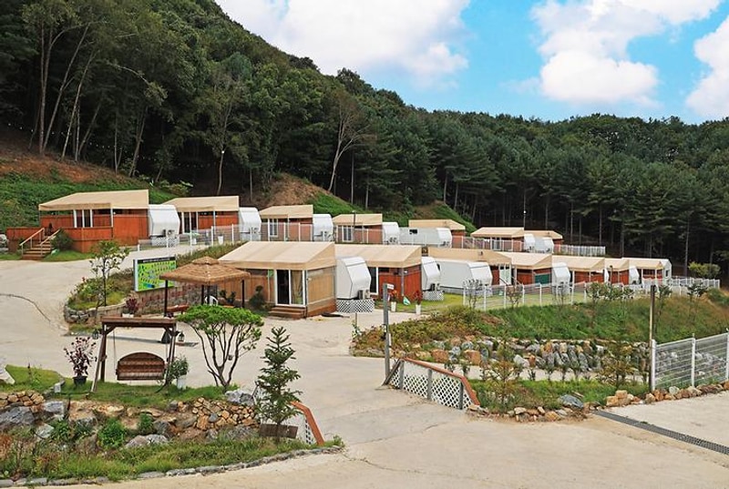 월송리캠프 대표 사진