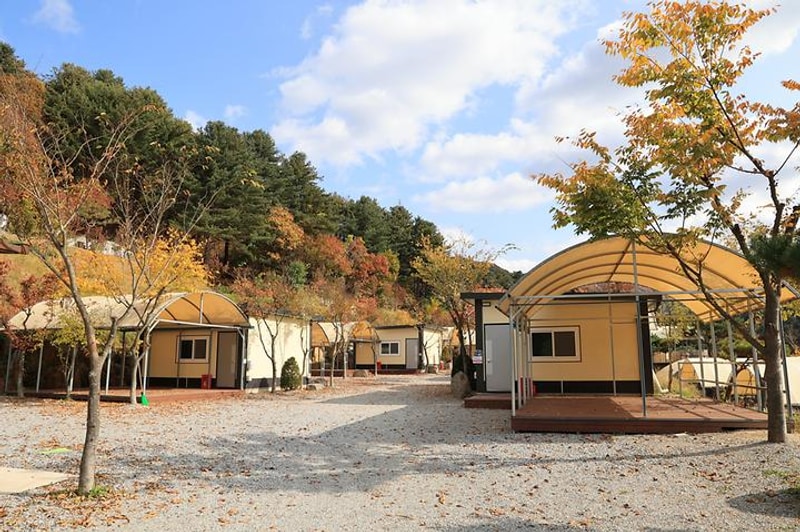 금동휴양림캠프1 대표 사진