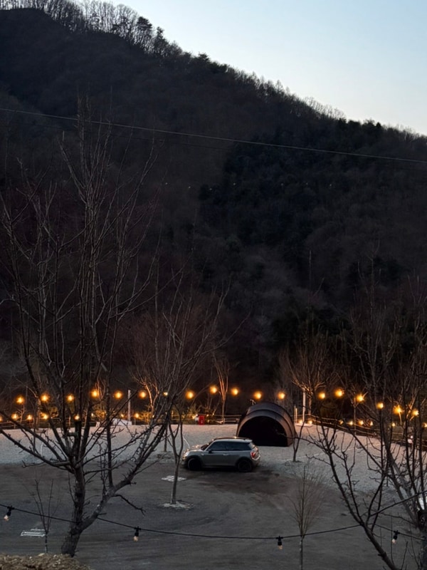 홍천 오도치캠핑장/신상캠핑장/반려동물동반