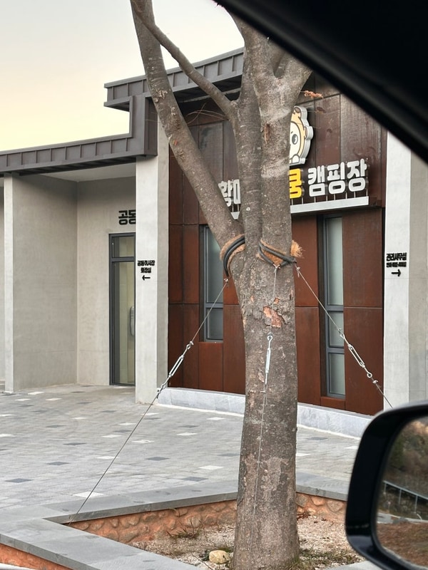 합천 황매산오토캠핑장