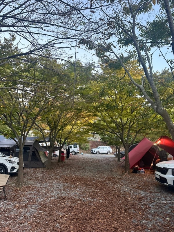 태안 굼벵이 캠핑장| 바다 2분거리 가족 캠핑장 아이랑 다녀온...