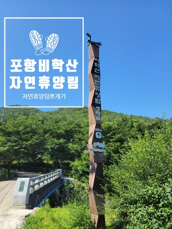 포항 비학산 자연휴양림 야영데크  이용후기