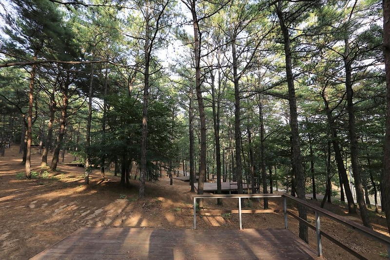 파인힐캠프 시설 사진 9