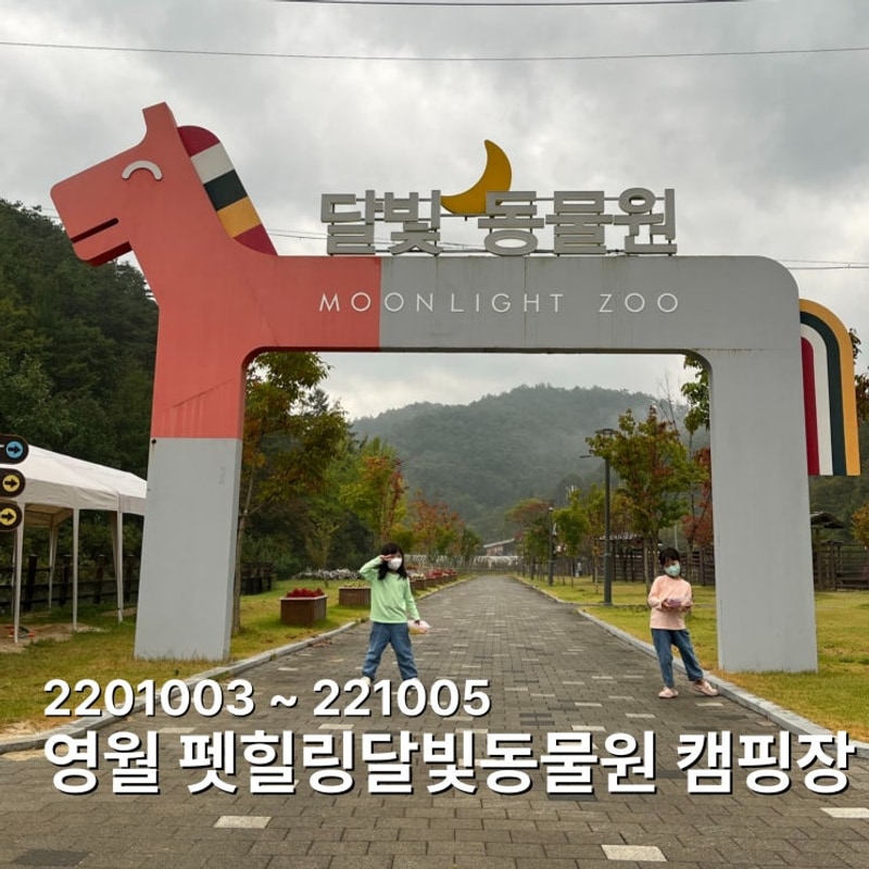 영월 펫힐링 달빛동물원 캠핑장 후기 | 아이들과 동물 먹이주기...