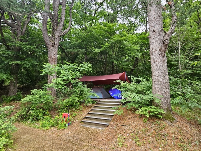 고양 북한산 사기막야영장 - 숲속 데크 단풍이 궁금해 다녀온...