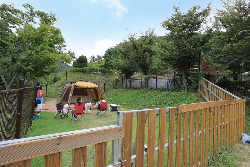 트리독스 애견전용캠핑장 시설 사진 6