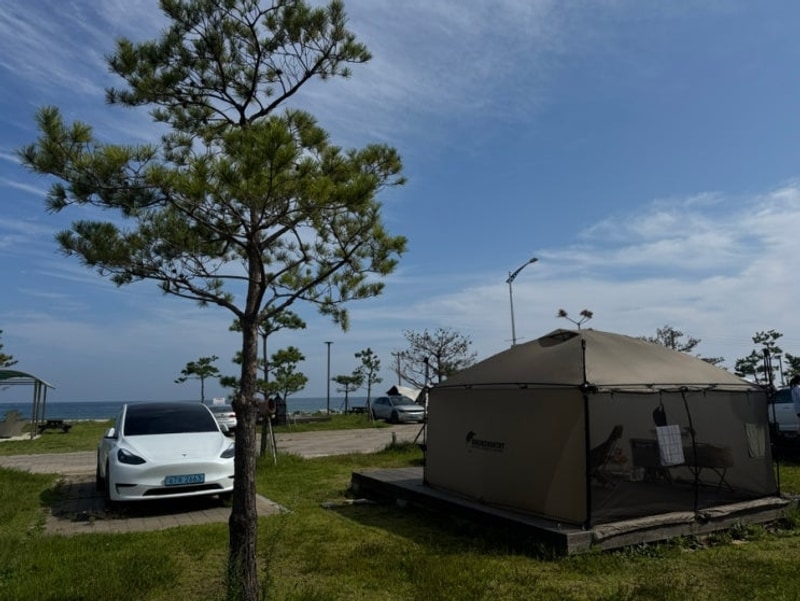 오션뷰 캠핑장 강원도 고성 명파해변캠핑장 리뷰