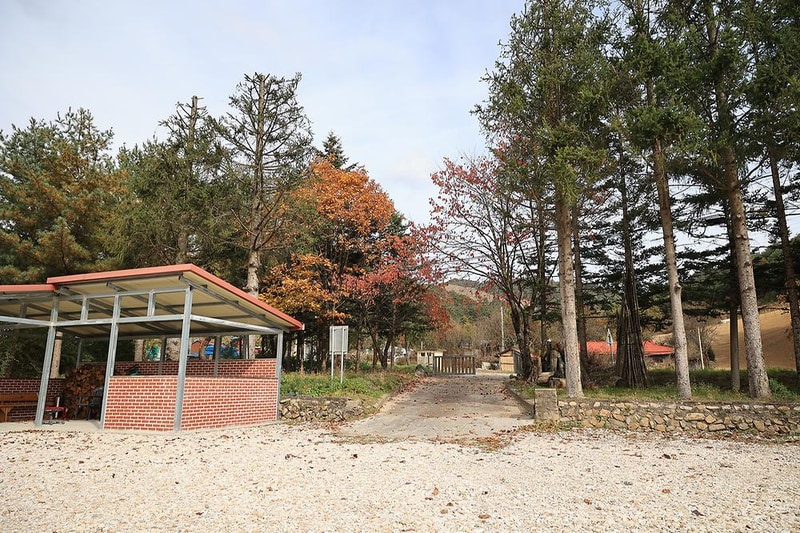 솔미캠핑장 시설 사진 2