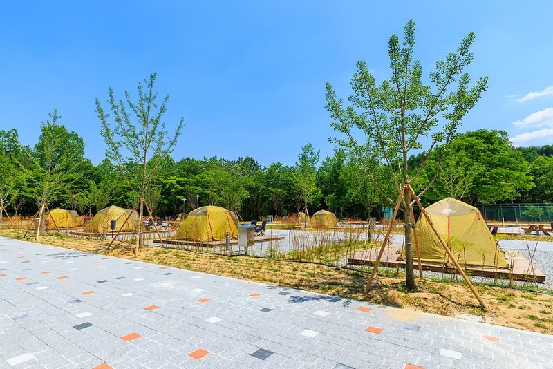 경상북도교육청김천오토캠핑장 시설 사진 4