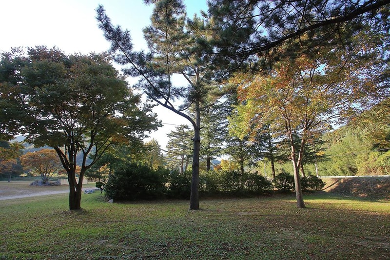 위정캠핑장 시설 사진 6