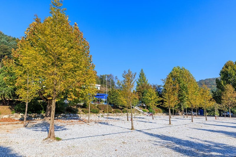 시골학교캠핑장 시설 사진 11