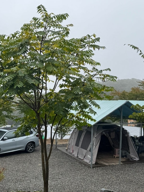 포천 캠핑플래닛 A20 데크 사이트 세가족 캠핑후기