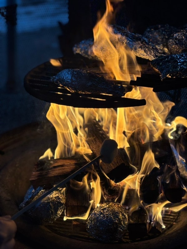 서울근교 글램핑 추천 파주 해브펀 캠핑어라운드