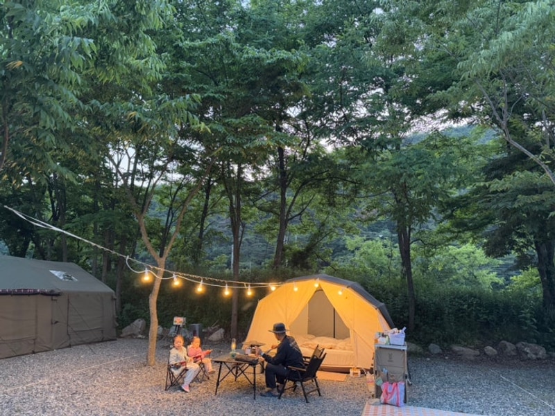 캠핑로그6 경주 [캠프어게인] 2025/5/30-6/1