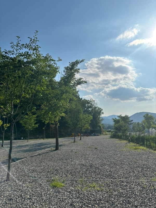 [팔공마루오토캠핑앤캠프닉]... 대구근교캠핑장 | 군위캠핑장...