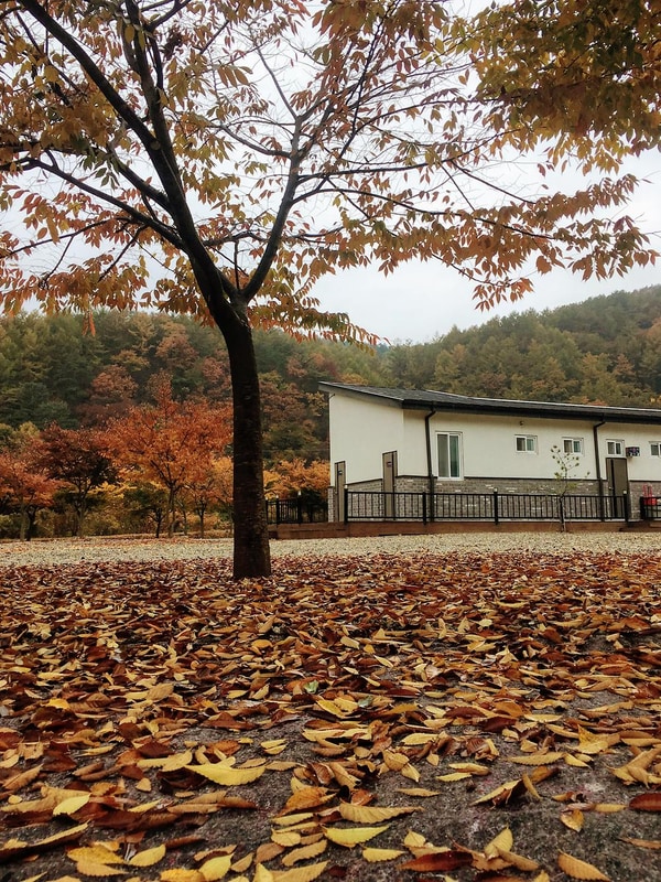 우리들캠핑장 시설 사진 2