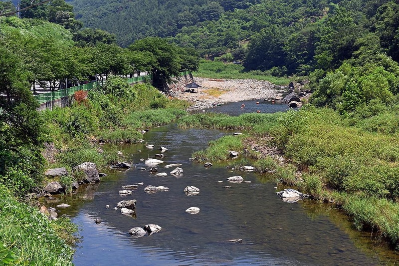 패밀리오토캠핑장 시설 사진 7