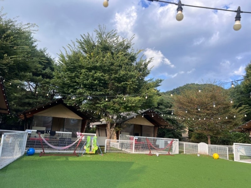 포천 글램핑 백운계곡 캠핑장 후기 – 도심을 벗어나 계곡...