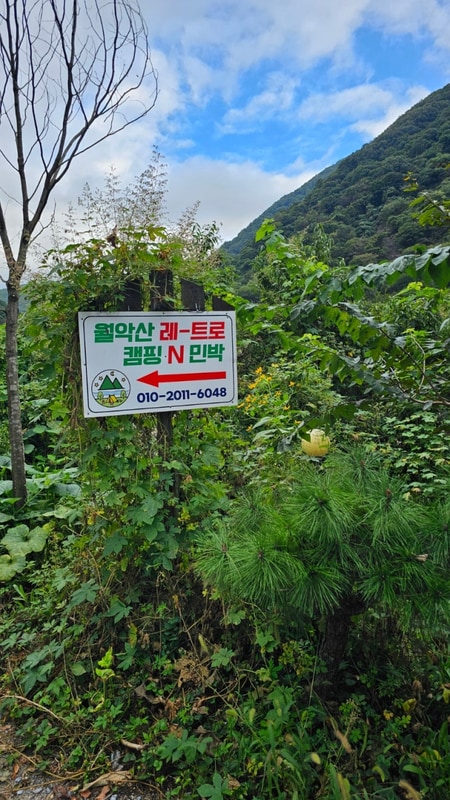 충북 제천 캠핑장 월악산 레트로 캠핑N민박