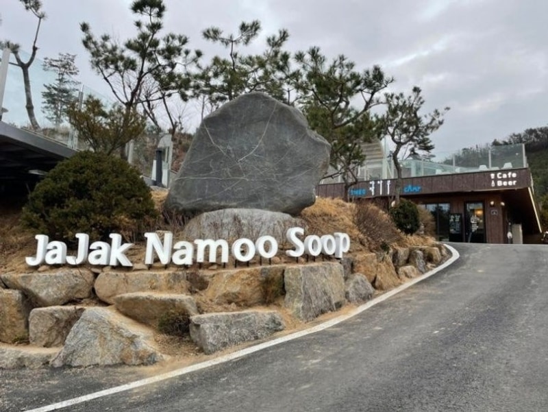 2살 아기랑 다녀온 캠핑 포천 청계호수 자작나무 숲 캠핑장...