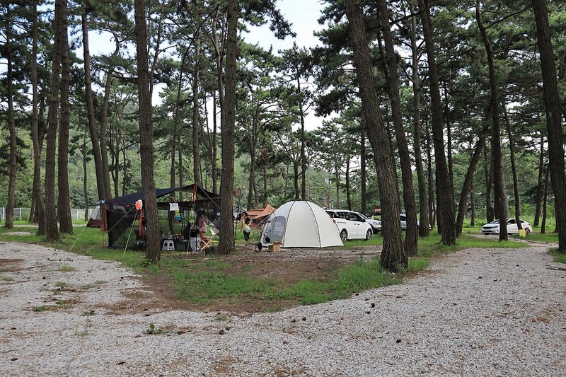 구시포 노을 캠핑장 시설 사진 11