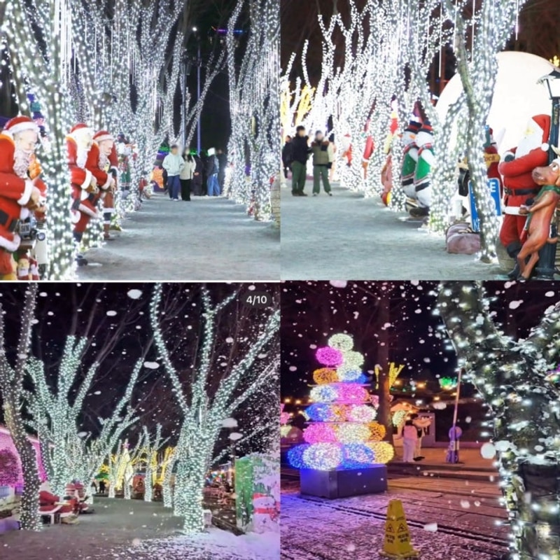 경북 여행 청도 가볼만한곳 청도프로방스 마을 숙소 글램핑...