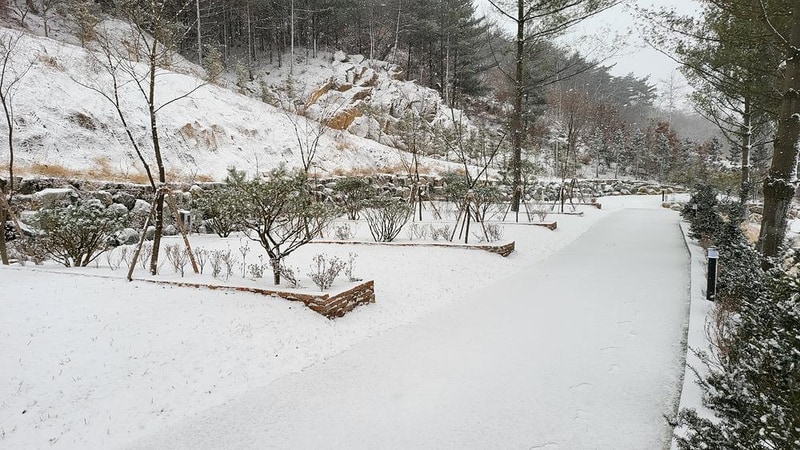 배방관광농원 시설 사진 26