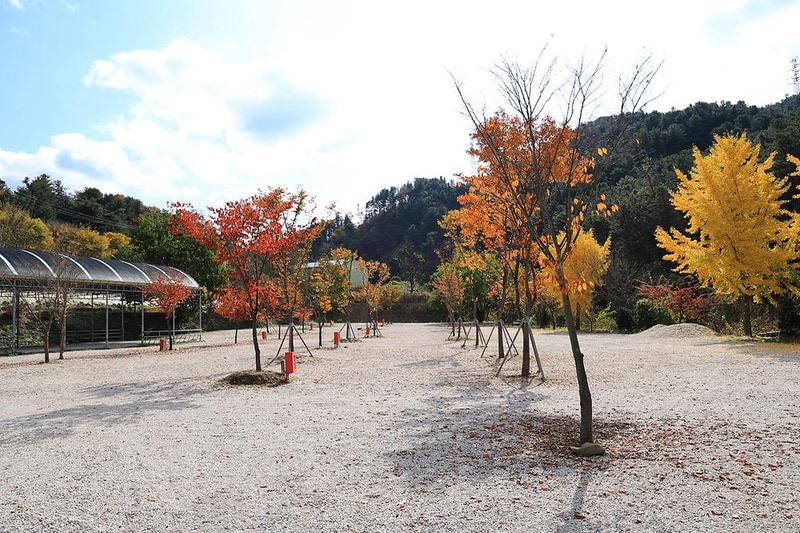 포천그린별캠핑장 시설 사진 8