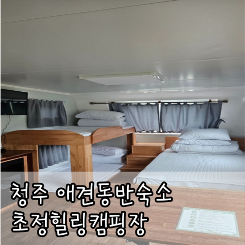 [청주 애견동반숙소] 초정힐링캠핑장 :  카라반 반려견 동반...