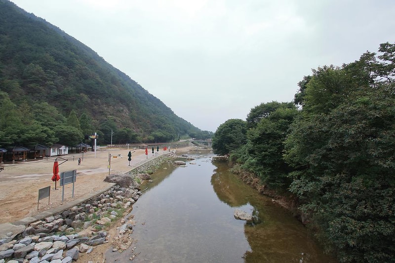 장령산자연휴양림 야영장 시설 사진 13