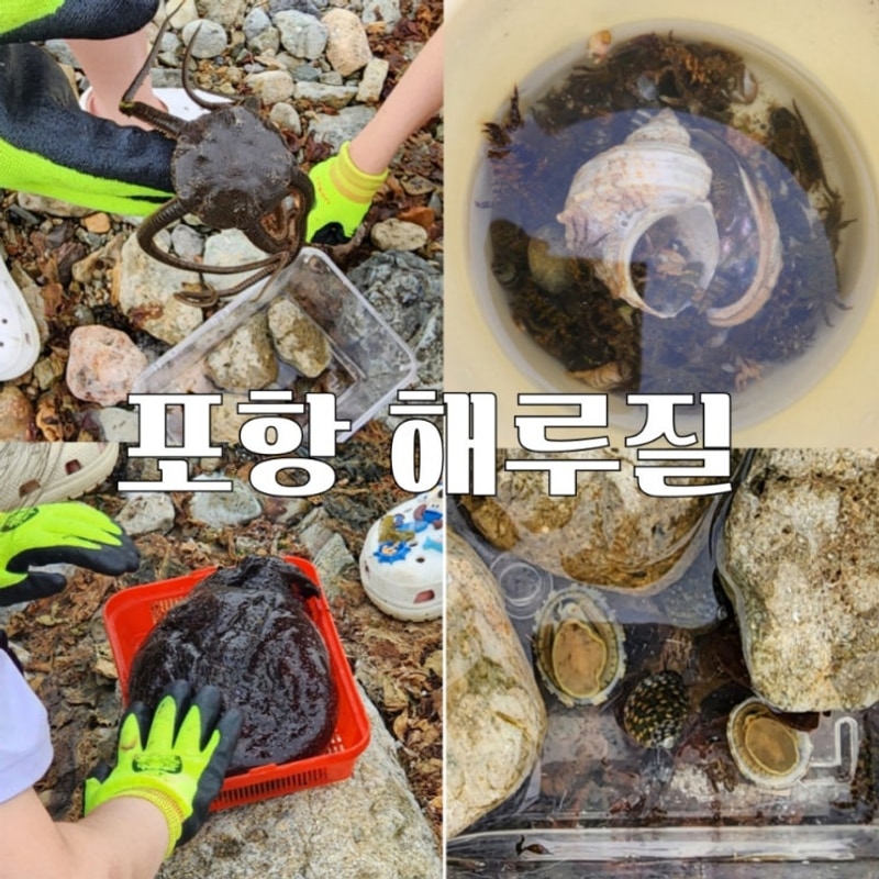 [포항 그린오토캠핑장] 포항 해루질 아이와 가볼만한곳